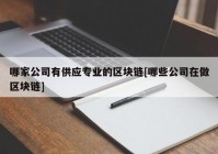 哪家公司有供应专业的区块链[哪些公司在做区块链]