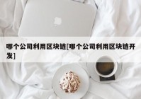 哪个公司利用区块链[哪个公司利用区块链开发]